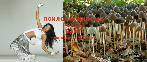 СК Алзамай
