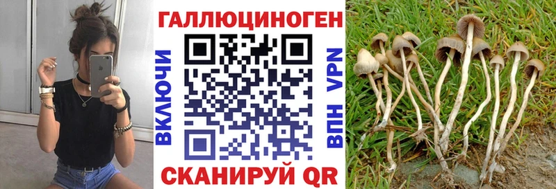 Псилоцибиновые грибы мицелий  наркота  Сочи 