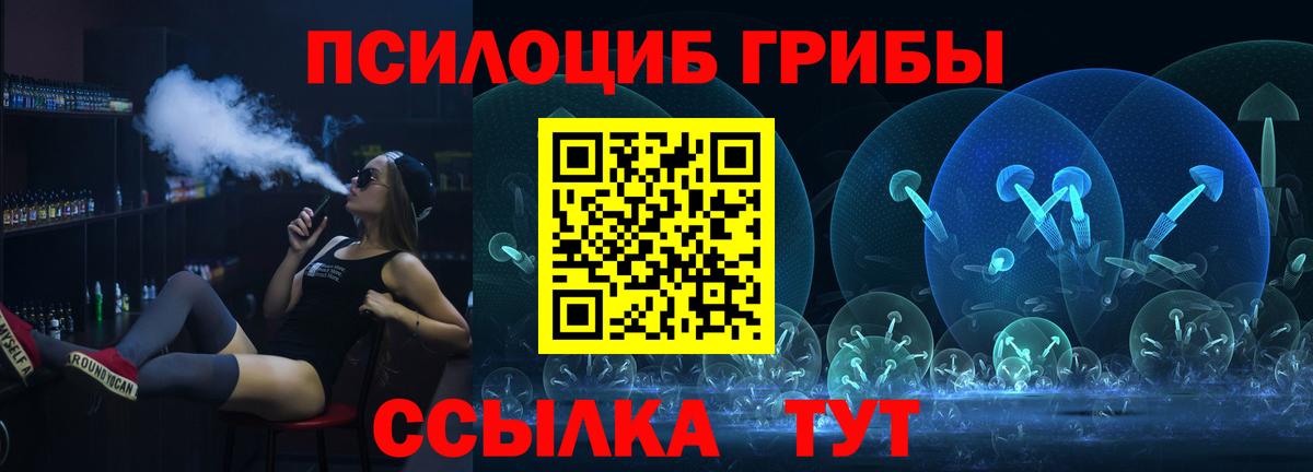 Псилоцибиновые грибы Cubensis Сочи